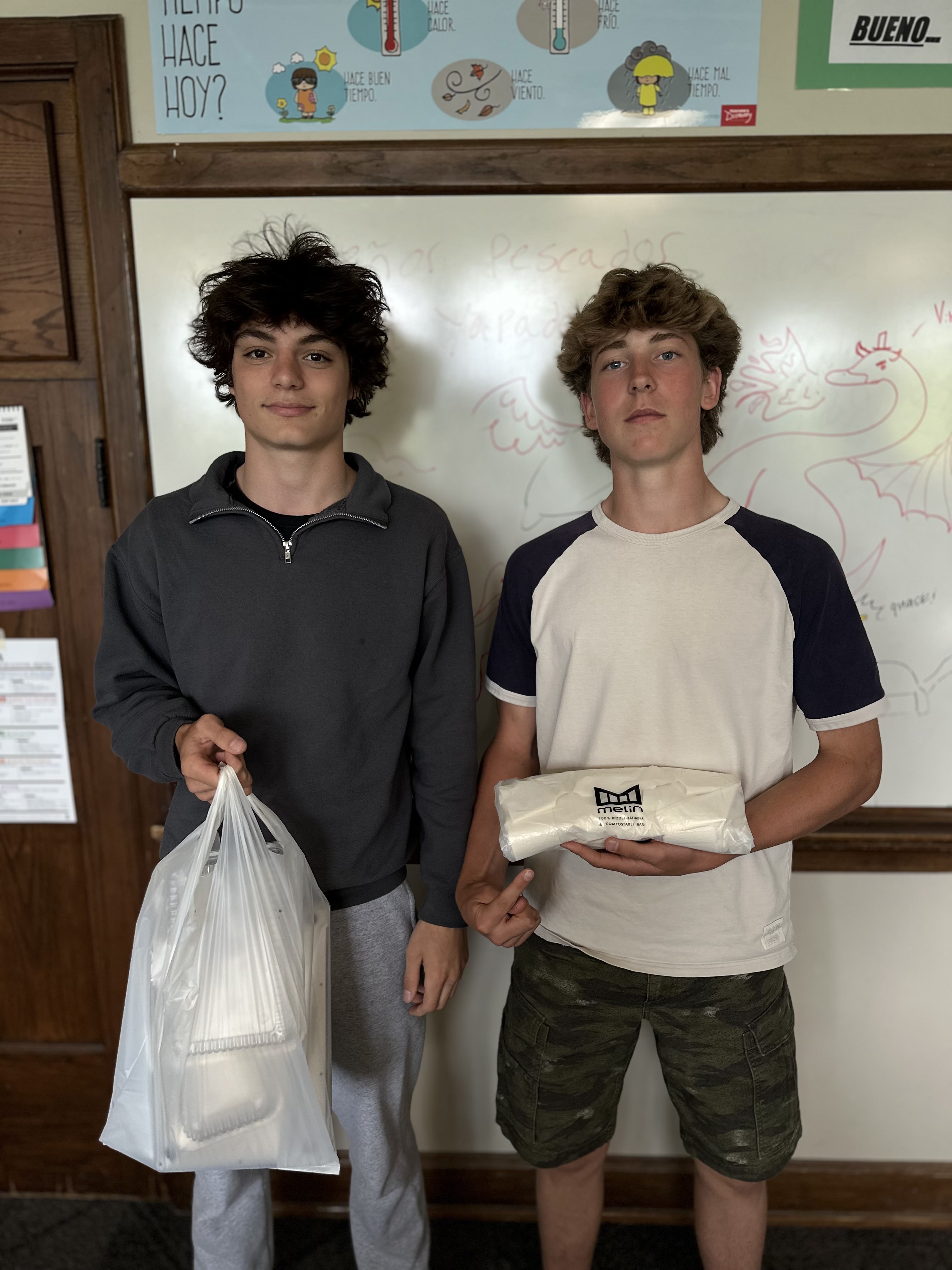 Biodegradable Bags